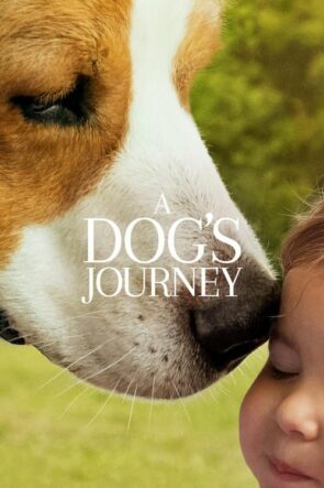 Dostumun Yolculuğu (A Dog’s Journey – 2019) 1080P Full HD Türkçe Altyazılı ve Türkçe Dublajlı İzle