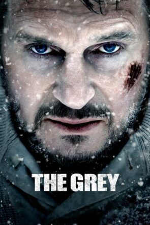 Gri Kurt (The Grey – 2012) 1080P Full HD Türkçe Altyazılı ve Türkçe Dublajlı