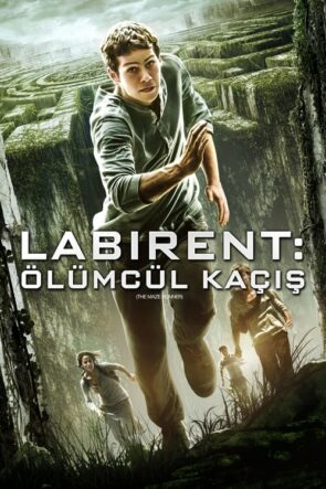 Labirent: Ölümcül Kaçış (The Maze Runner – 2014) 1080P Full HD Türkçe Altyazılı ve Türkçe Dublajlı